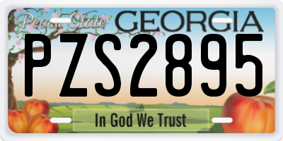 GA license plate PZS2895
