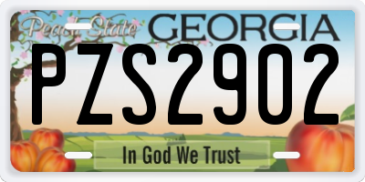 GA license plate PZS2902