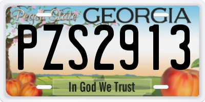 GA license plate PZS2913