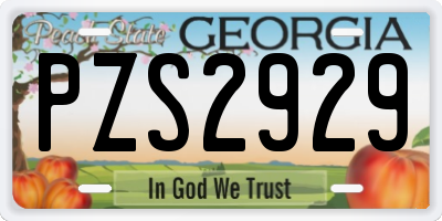 GA license plate PZS2929