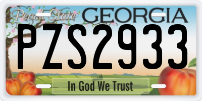 GA license plate PZS2933