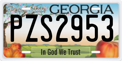 GA license plate PZS2953