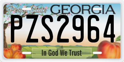 GA license plate PZS2964