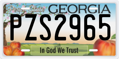 GA license plate PZS2965