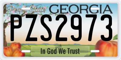 GA license plate PZS2973