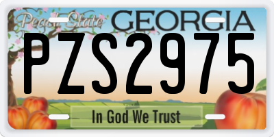 GA license plate PZS2975