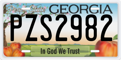 GA license plate PZS2982