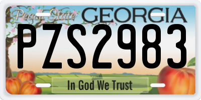 GA license plate PZS2983