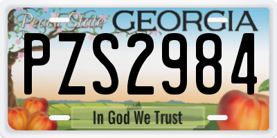 GA license plate PZS2984