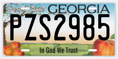 GA license plate PZS2985