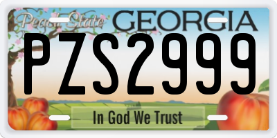 GA license plate PZS2999
