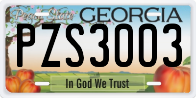 GA license plate PZS3003