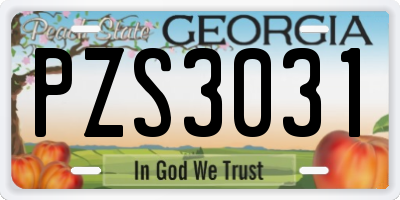 GA license plate PZS3031