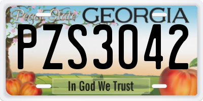 GA license plate PZS3042