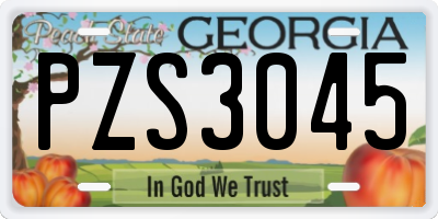 GA license plate PZS3045