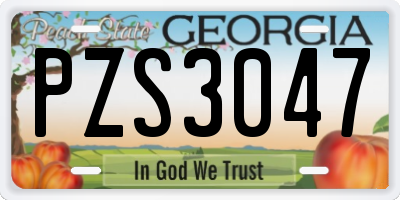 GA license plate PZS3047
