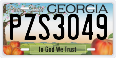 GA license plate PZS3049