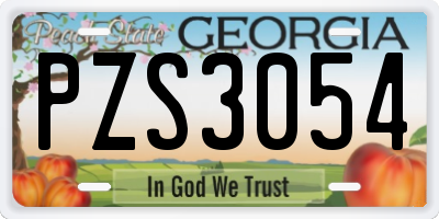 GA license plate PZS3054