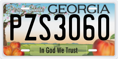 GA license plate PZS3060
