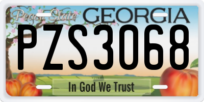 GA license plate PZS3068