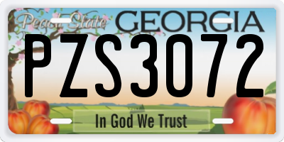 GA license plate PZS3072