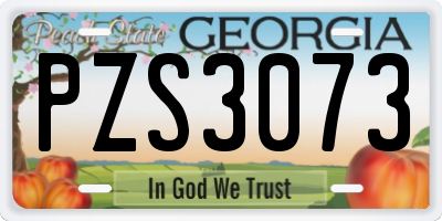GA license plate PZS3073