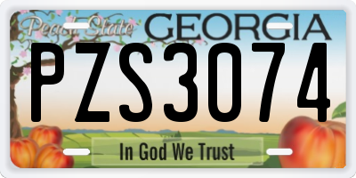 GA license plate PZS3074