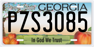 GA license plate PZS3085