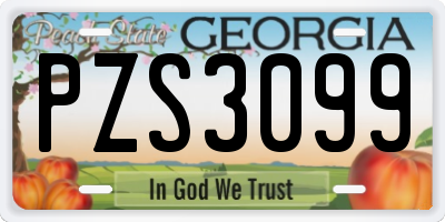 GA license plate PZS3099