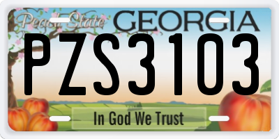 GA license plate PZS3103