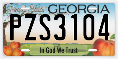 GA license plate PZS3104