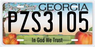 GA license plate PZS3105
