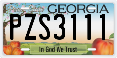 GA license plate PZS3111