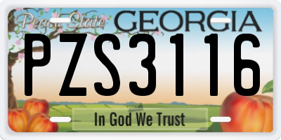 GA license plate PZS3116