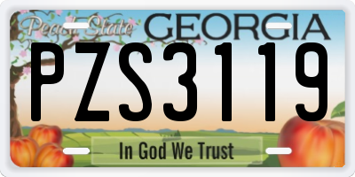 GA license plate PZS3119