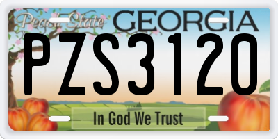 GA license plate PZS3120