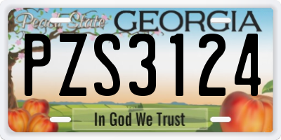 GA license plate PZS3124