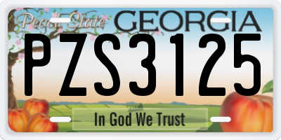 GA license plate PZS3125