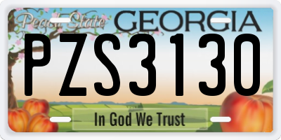 GA license plate PZS3130