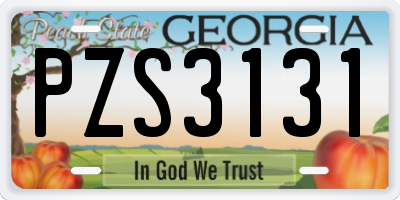 GA license plate PZS3131