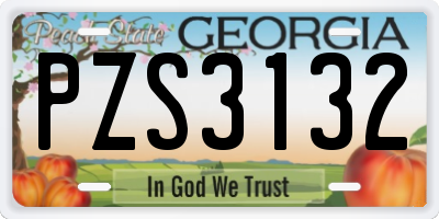 GA license plate PZS3132