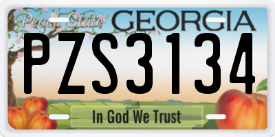 GA license plate PZS3134