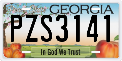 GA license plate PZS3141