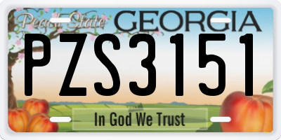 GA license plate PZS3151