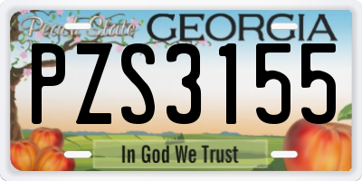 GA license plate PZS3155