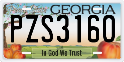 GA license plate PZS3160