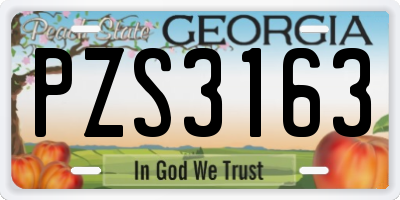 GA license plate PZS3163