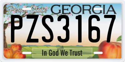 GA license plate PZS3167