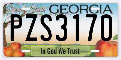 GA license plate PZS3170