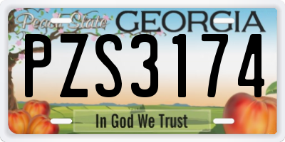 GA license plate PZS3174